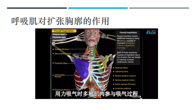 55c56edc1a2d496cbdb75bfae7630e3f.jpg 55c56edc1a2d496cbdb75bfae7630e3f.jpg